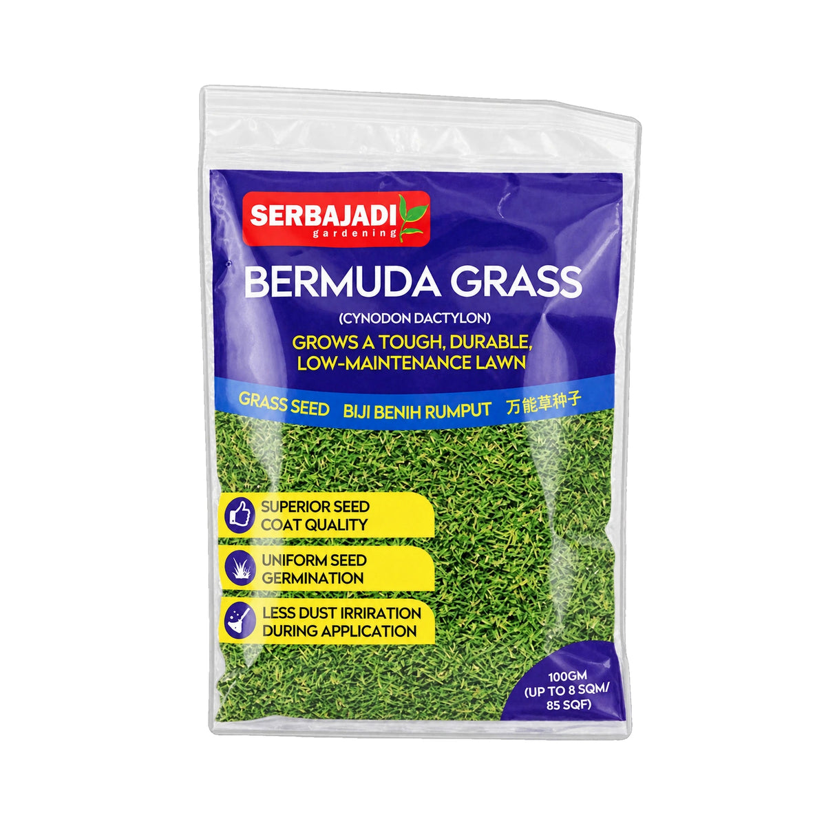 Bermuda Grass Seed