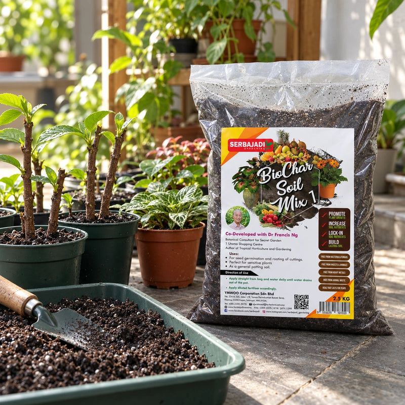 Serbajadi Biochar Soil Mix 1 beside pots and a tray of growing medium.