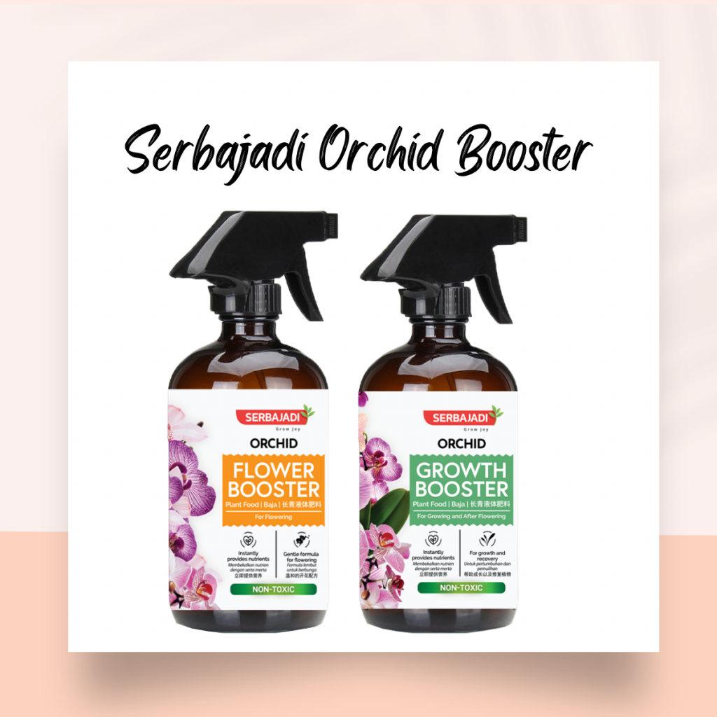 Serbajadi Orchid Fertilizer Products Serbajadi Orchid Flower Booster and Orchid Growth Booster for tropical orchids