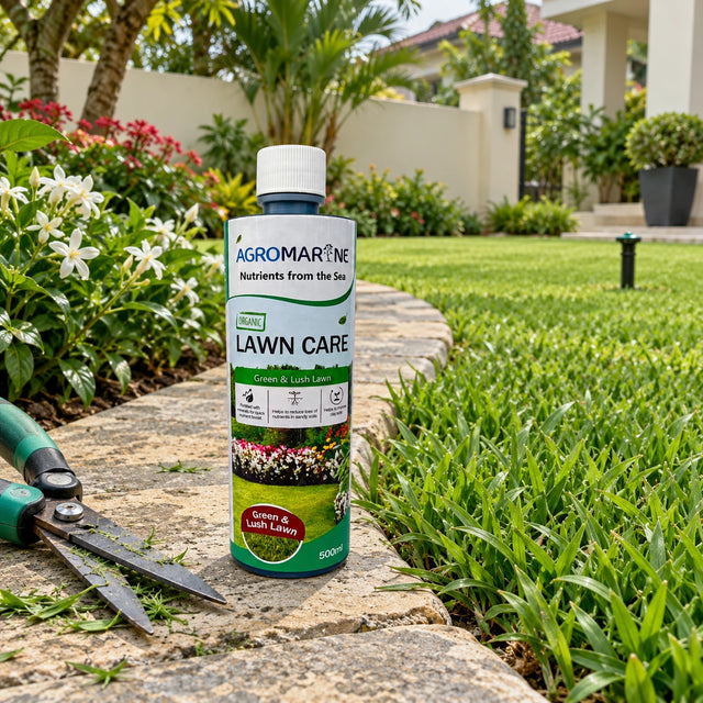 Serbajadi Agromarine Organic Lawn Care beside a lawn and pots.