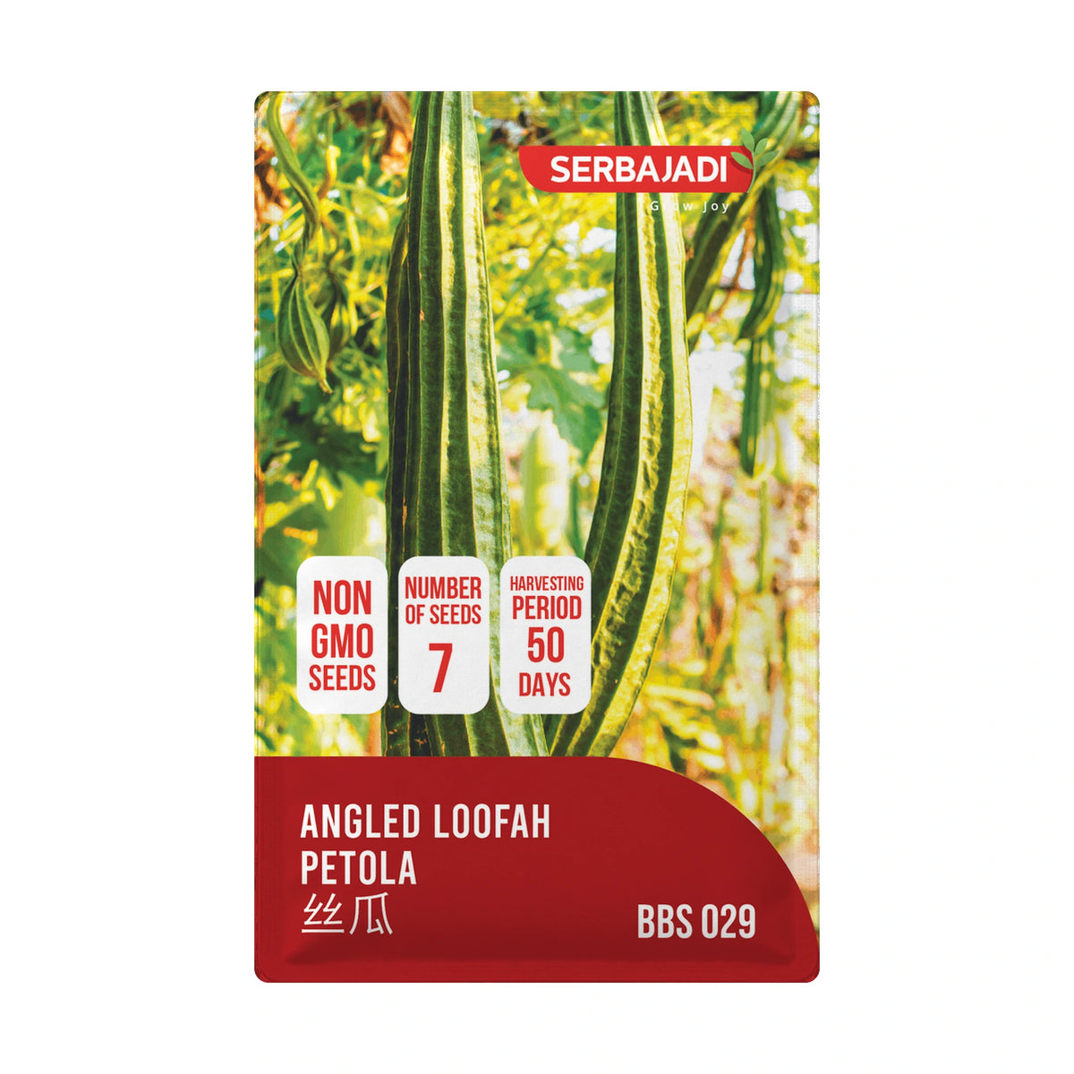 Serbajadi Angled Loofah Petola VS029 - Easy Home Growth for Sweet, Nutritious Gourds