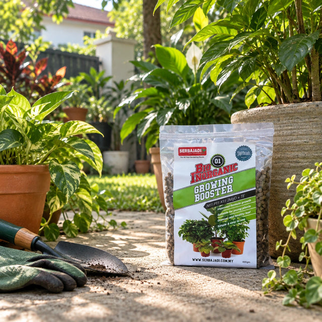 Serbajadi Bio-Inorganic Growing Booster 01 beside vegetables in a raised bed.