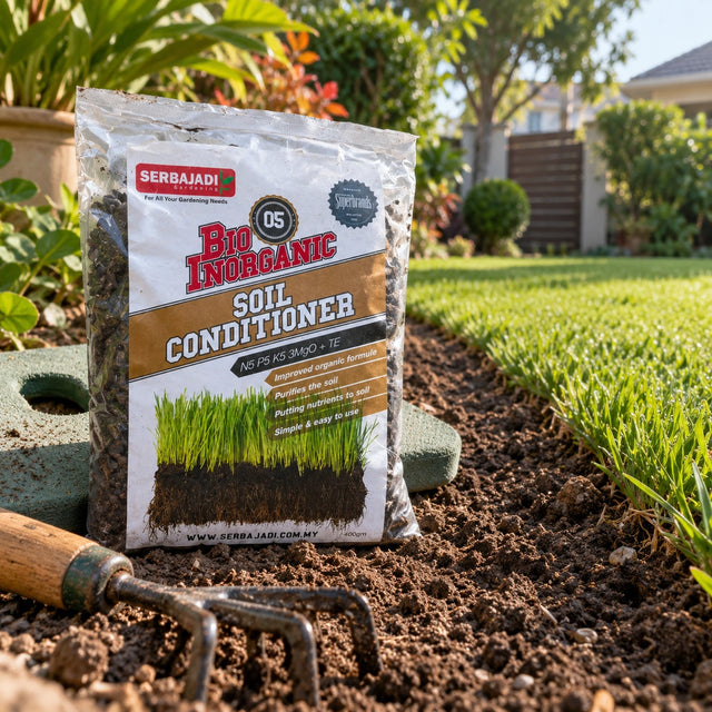 Serbajadi Bio-Inorganic Soil Conditioner 05 beside a garden bed and hand fork.