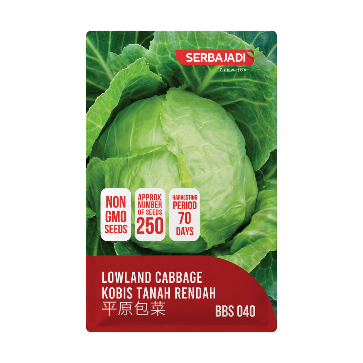 Serbajadi Vegetable Seed Cabbage - Kobis VS040 - Easy Growth for Crunchy, Nutritious Harvest