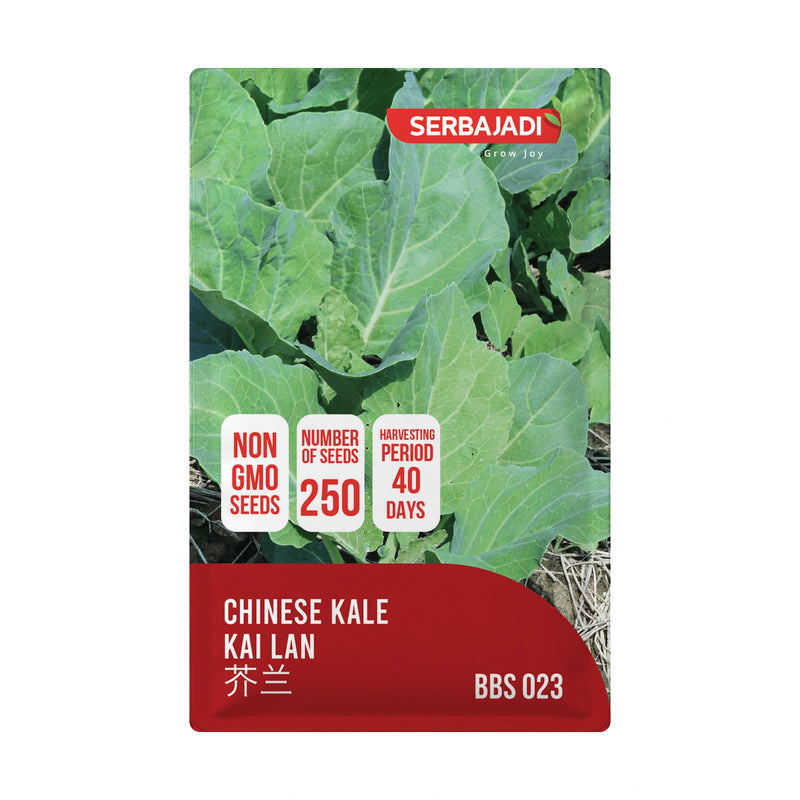Serbajadi Chinese Kale Seeds VS023 seed packet on a white background.