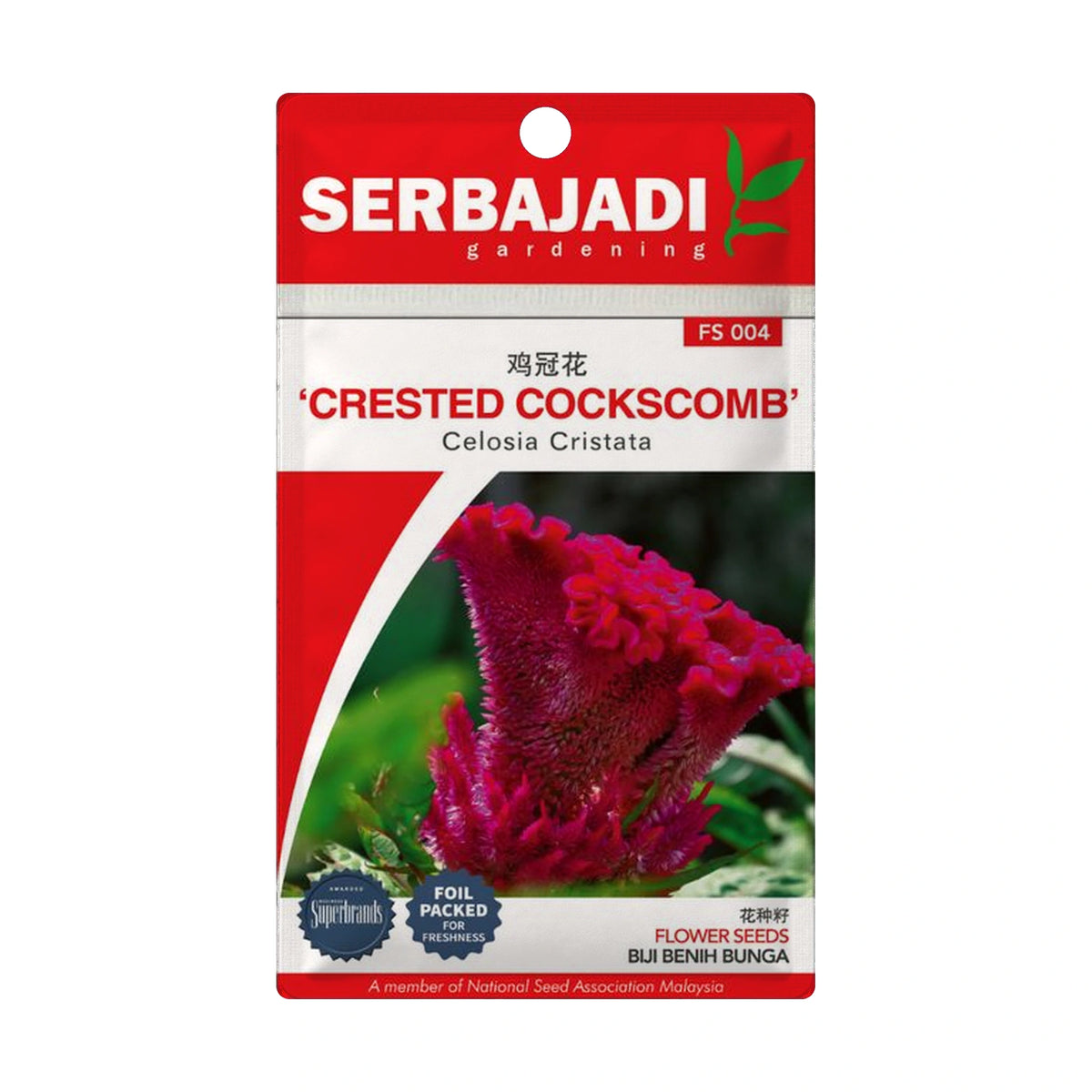Serbajadi Crested Cockscomb FS004 - Vibrant, Heat, Tolerant Blooms & Easy Flowering
