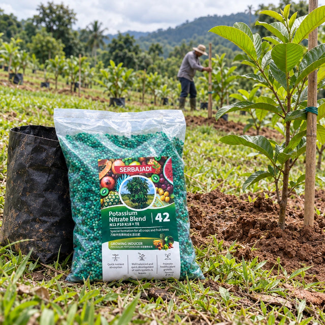 Serbajadi Fruit Tree Growing Inducer 42 in an orchard beside young fruit trees.