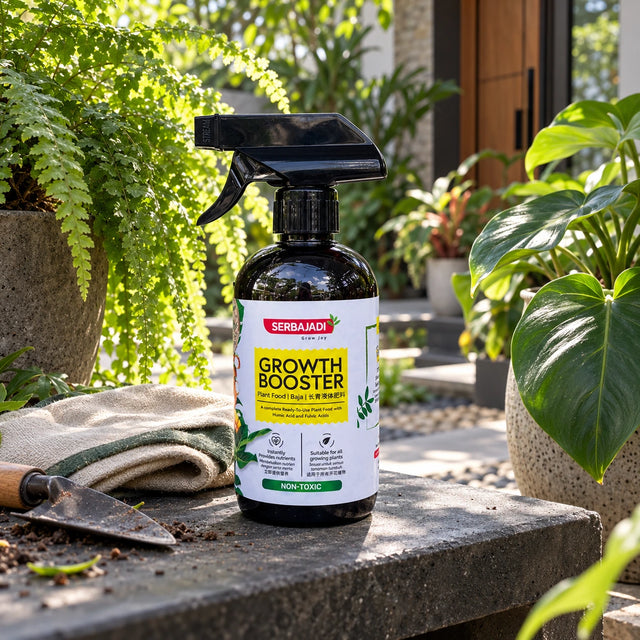 Serbajadi Growth Booster beside foliage plants on a garden bench.