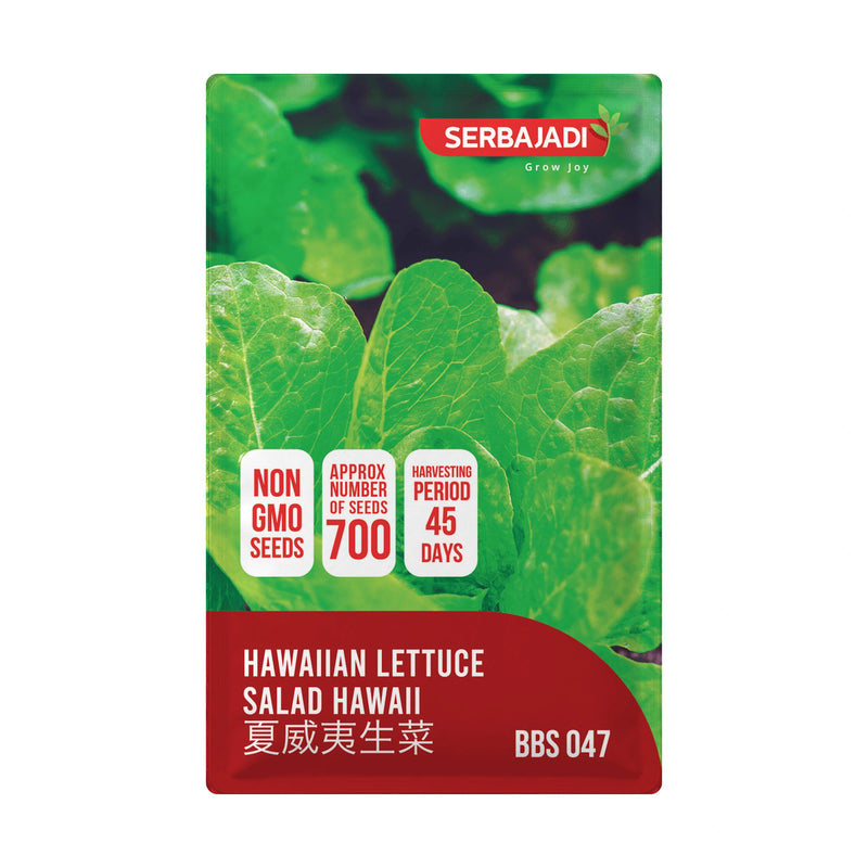 Serbajadi Hawaiian Lettuce Seeds VS047 seed packet on a white background.