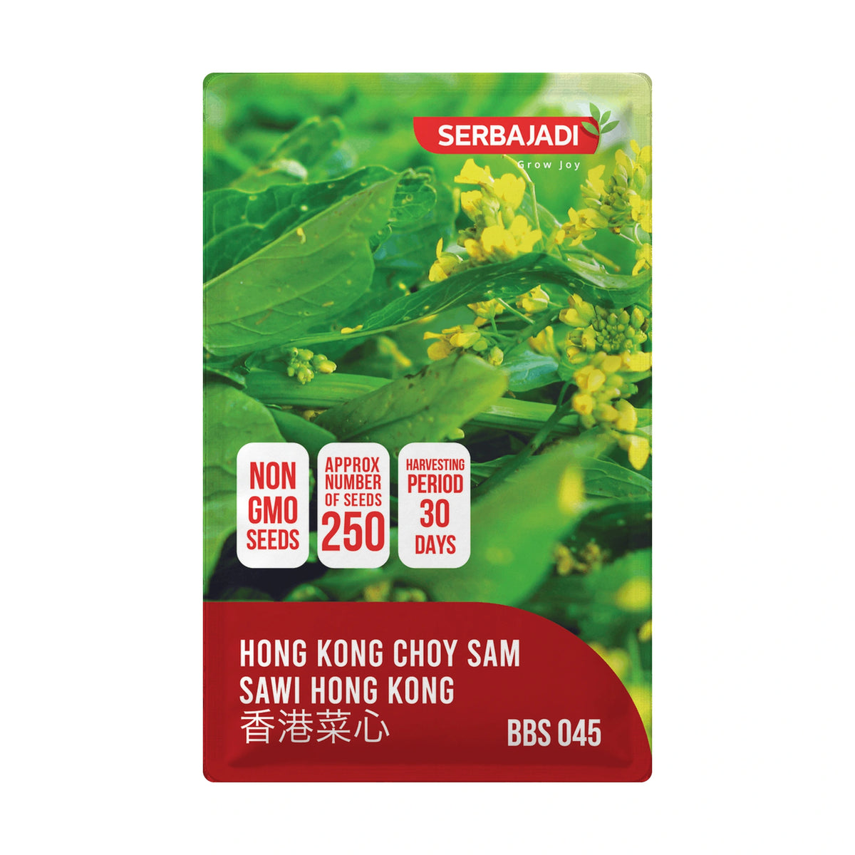 Serbajadi Hong Kong Choy Sam VS045- Delicious Tender Leaves & Stems for Effortless Home Gardening