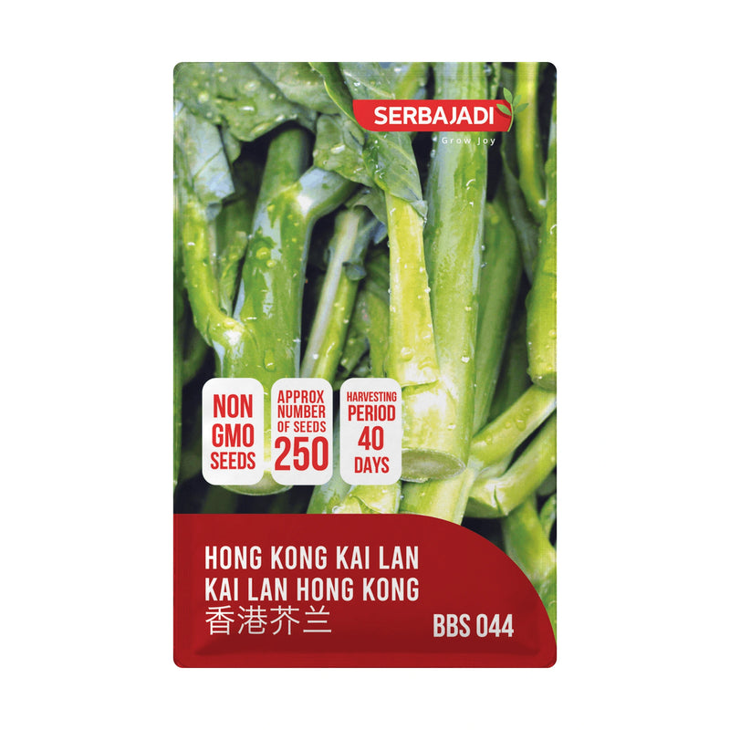 Serbajadi Hong Kong Kai Lan Seeds VS044 seed packet on a white background.