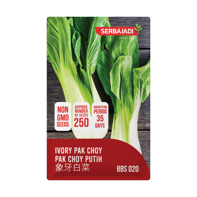 Serbajadi Ivory Selected Pak Choy Flower Seeds VS020 seed packet on a white background.