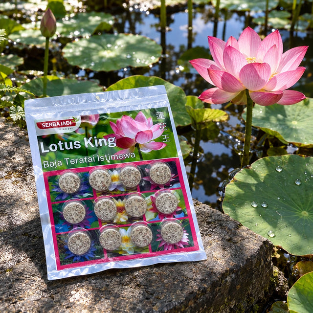 Serbajadi Lotus King (Water Plant Fertiliser) beside a flowering lotus pond.