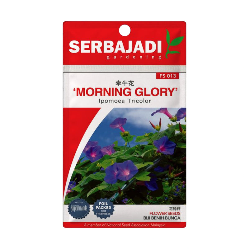 Serbajadi Morning Glory Seeds FS013 seed packet on a white background.