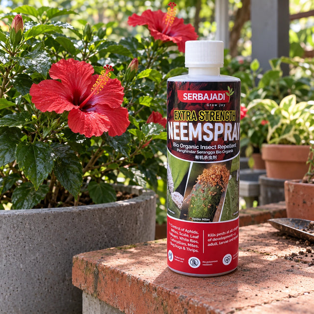 Serbajadi Neem Spray Extra Strength beside flowering plants.