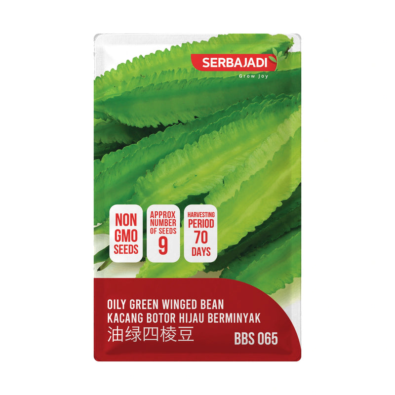 Serbajadi Oily Green Winged Bean Seeds VS065 seed packet on a white background.