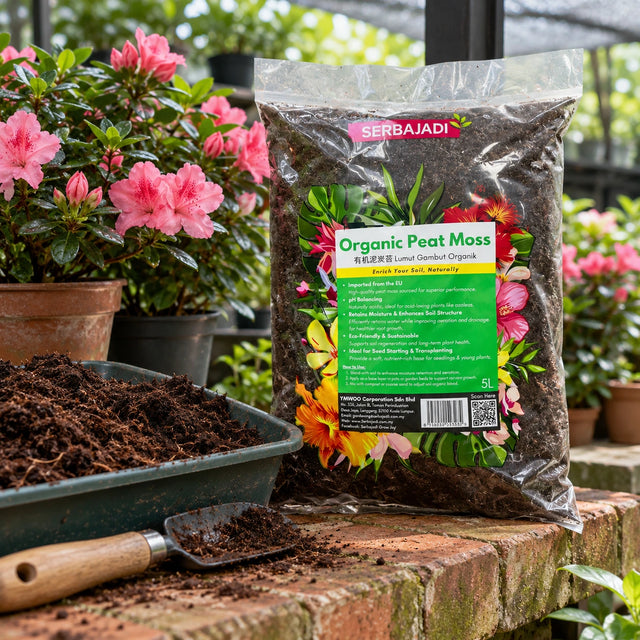 Serbajadi Organic Peat Moss beside a garden bed and hand tools.