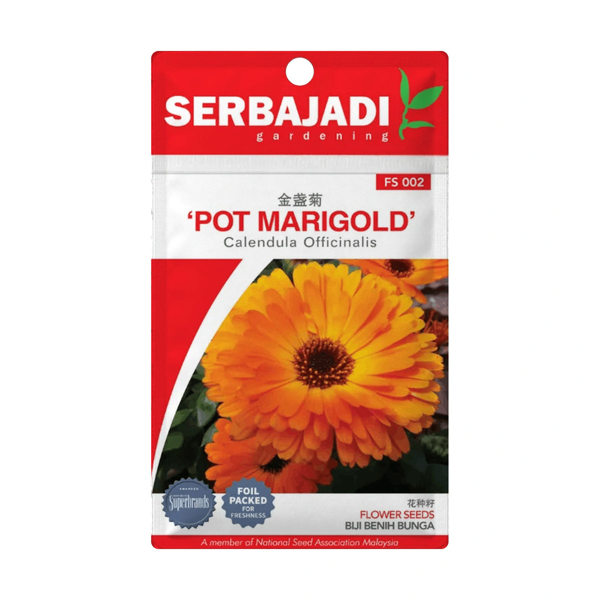 Serbajadi Pot Marigold FS002 - Vibrant Flowering in 45 Days