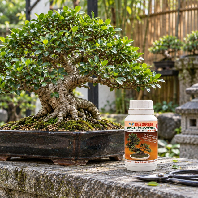 Serbajadi Slow Release Bonsai Fertiliser 29 beside a bonsai on a garden bench.