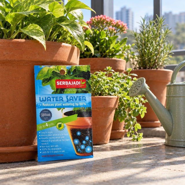 Serbajadi Water Saver beside terracotta pots on a garden bench.
