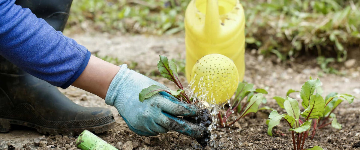 5 Benefits of Organic Fertiliser