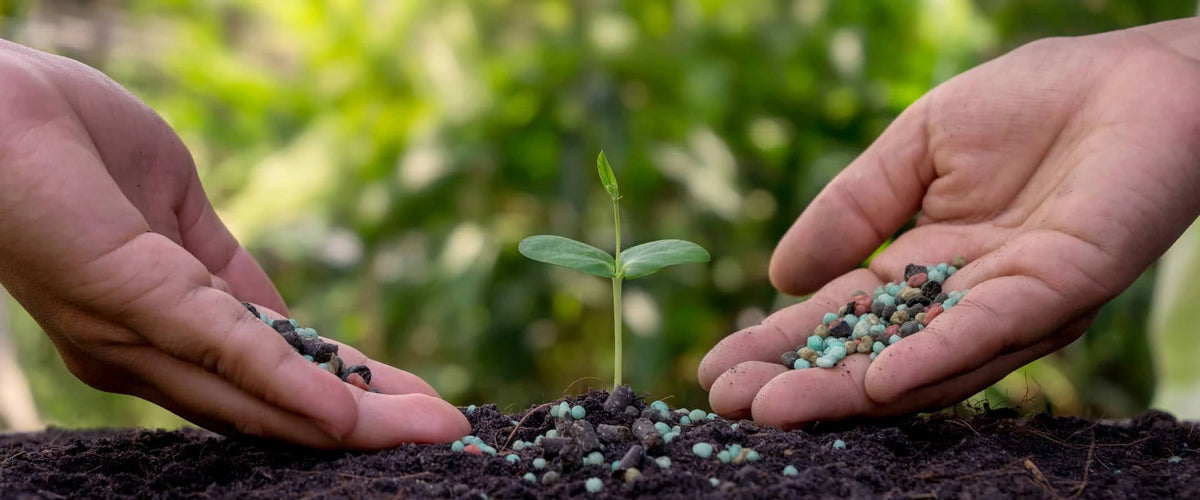 6 Limitations of Organic Fertilisers