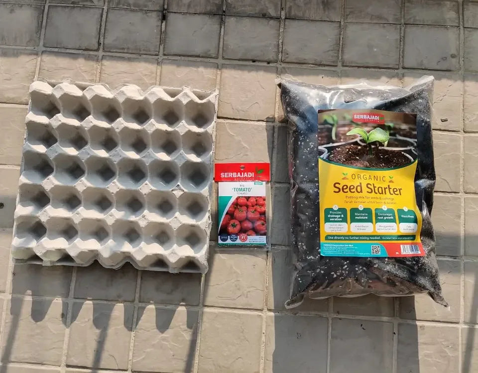 Gardening with Kids: Starting a Balcony Garden