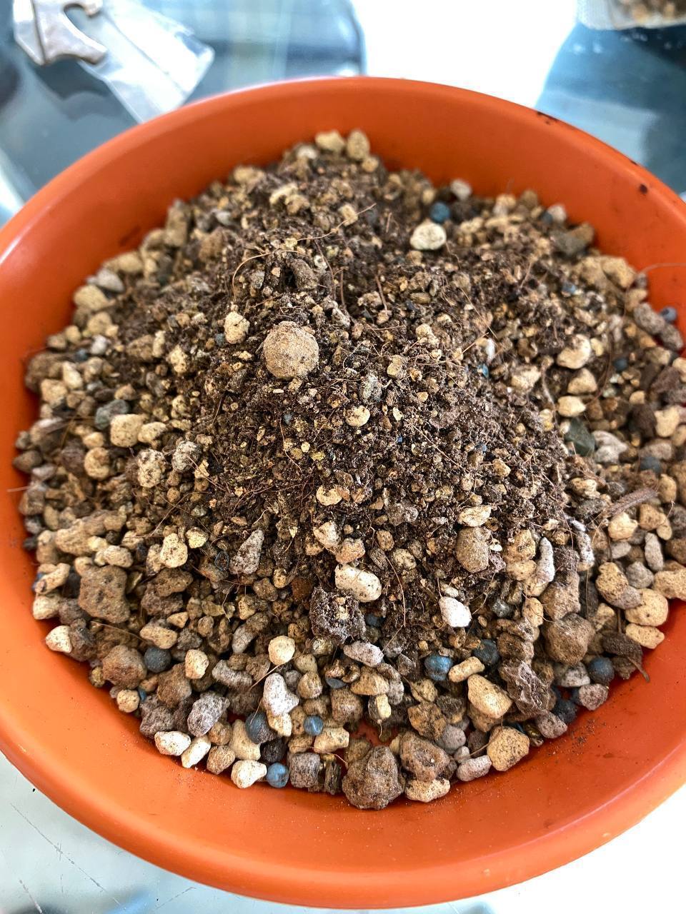 Serbajadi Cactus Soil - Superior Drainage to Prevent Root Rot product image 4