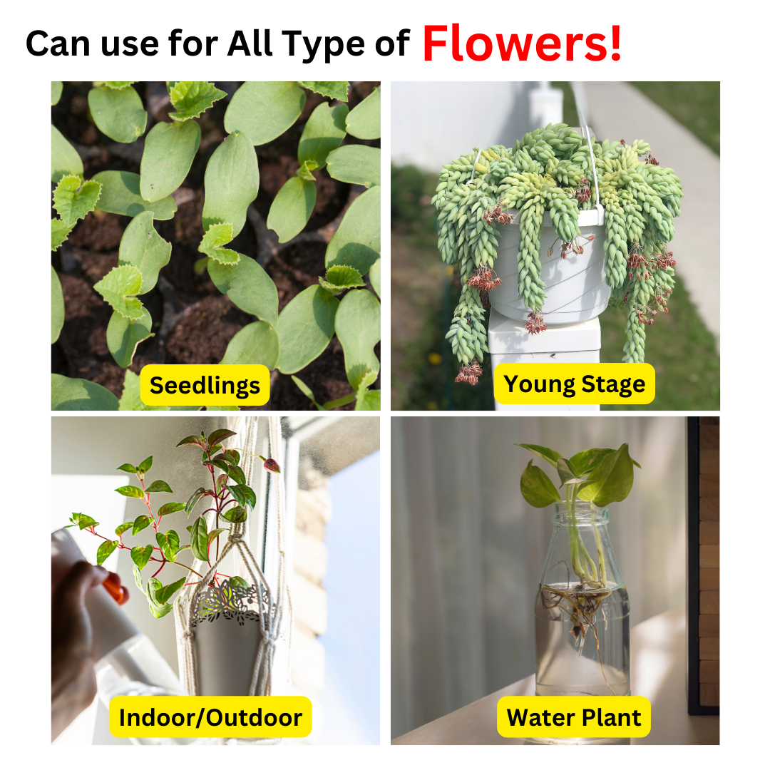 Serbajadi Instant Spray Flowering Inducer FS28 Fertiliser product image 2