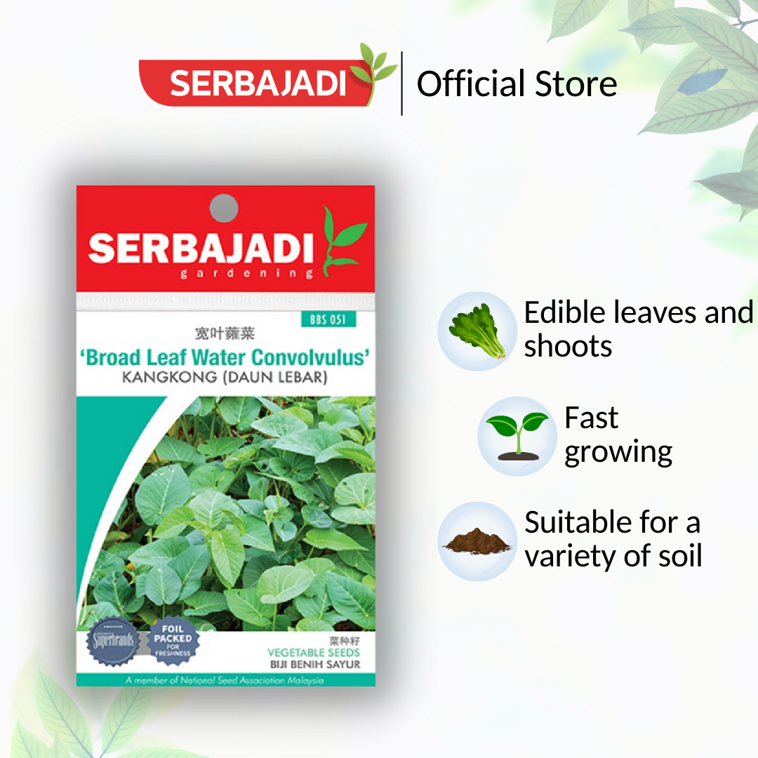 Serbajadi Broad Leaf Water Convolvulus Kangkong Daun Bulat VS051- Vigorous Growth & Abundant Harvest product image 2