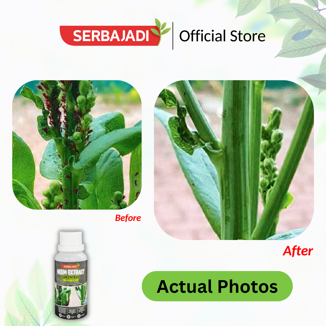 Serbajadi Neem Extract Concentrate product image 4