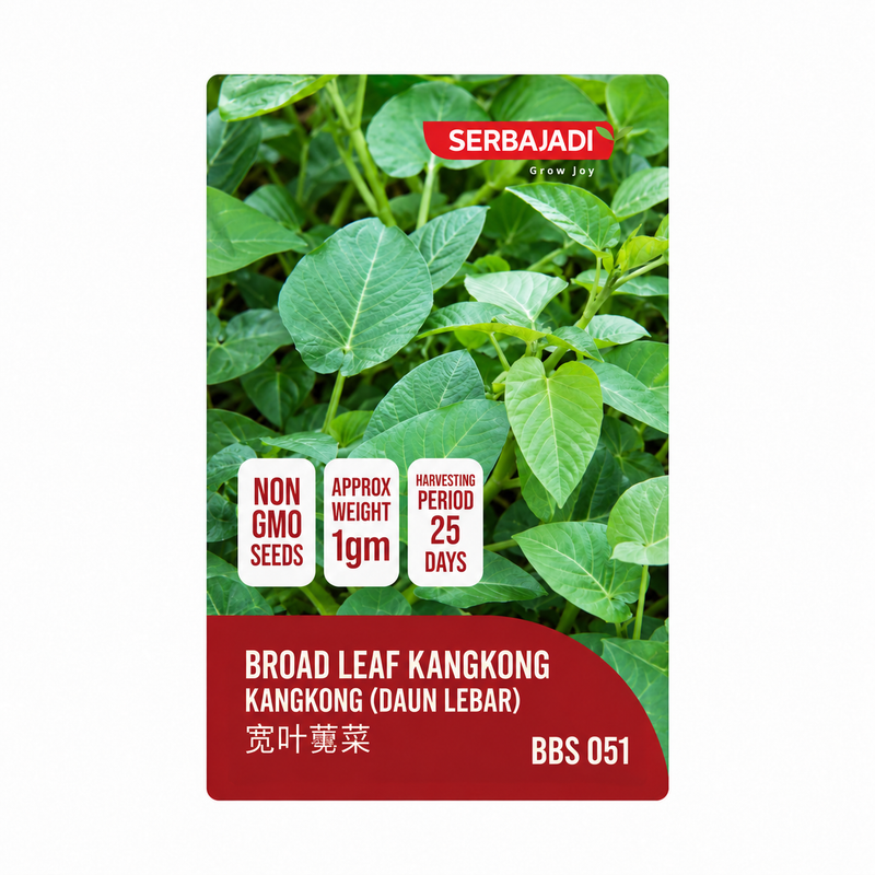 broad leaf water spinach seeds vs051 — plant and seed information