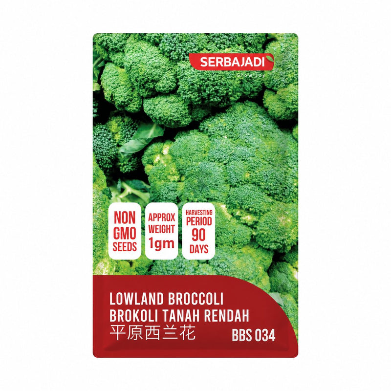 Serbajadi Broccoli Seeds VS034 seed packet on a white background.