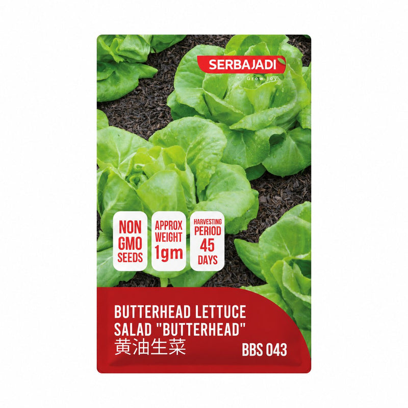 Serbajadi Butterhead Lettuce Seeds VS043 seed packet on a white background.