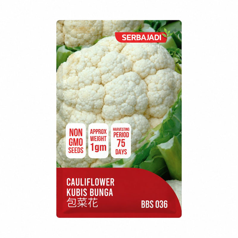 Serbajadi Cauliflower Seeds VS036 seed packet on a white background.