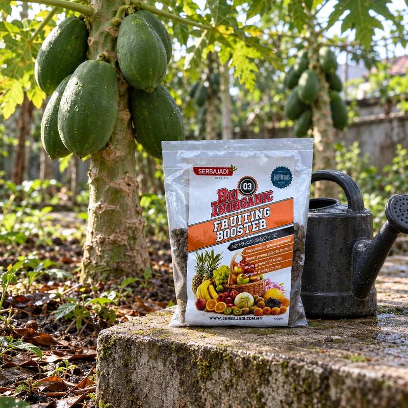 Serbajadi Bio-Inorganic Fruiting Booster 03 beneath a fruit tree in a garden.