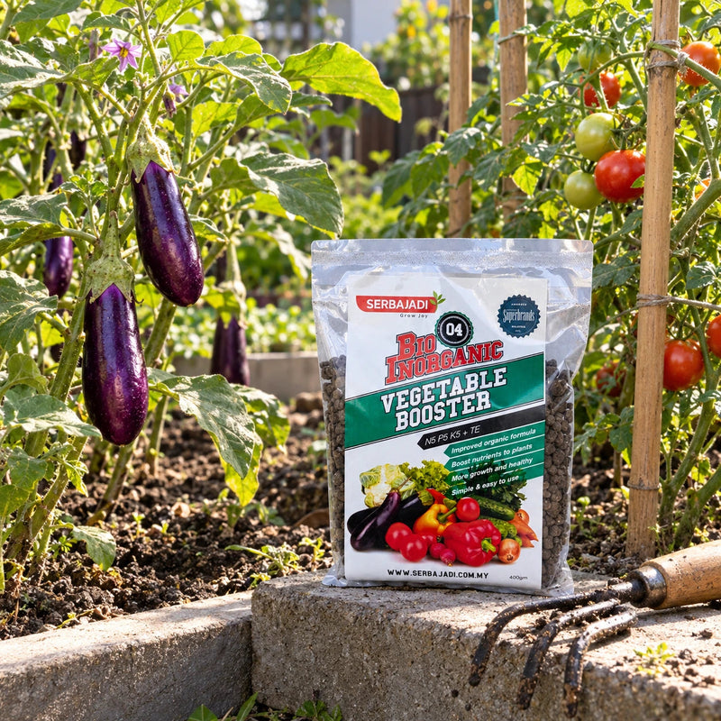 Serbajadi Bio-Inorganic Vegetable Booster 04 beside vegetables in a raised bed.
