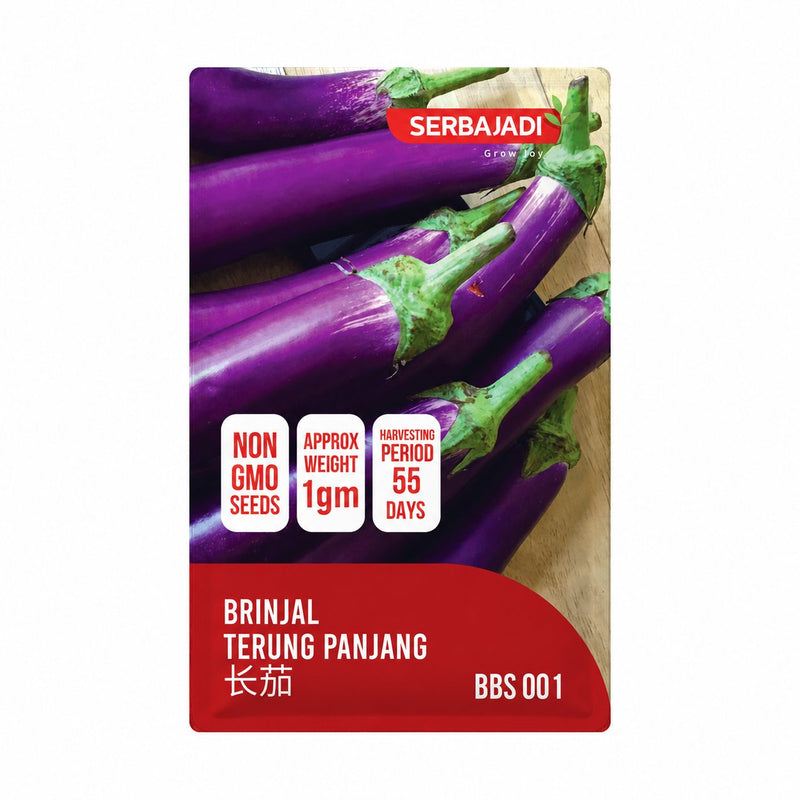 Serbajadi Brinjal Seeds VS001 seed packet on a white background.