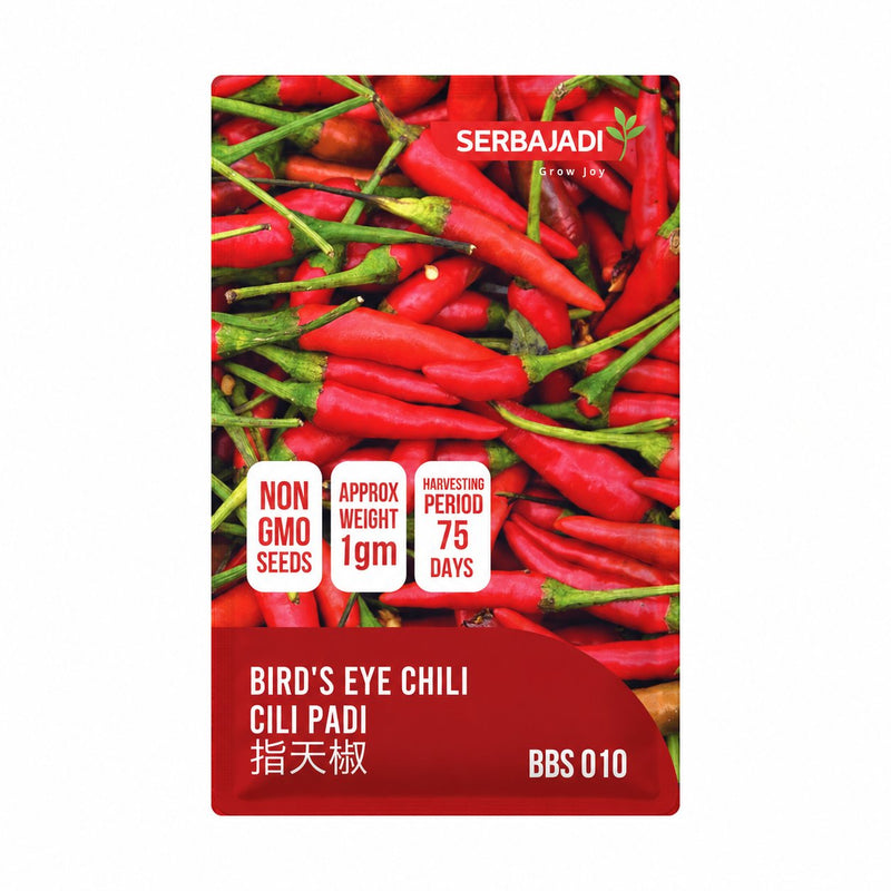 Serbajadi Chilli Padi Seeds VS010 seed packet on a white background.