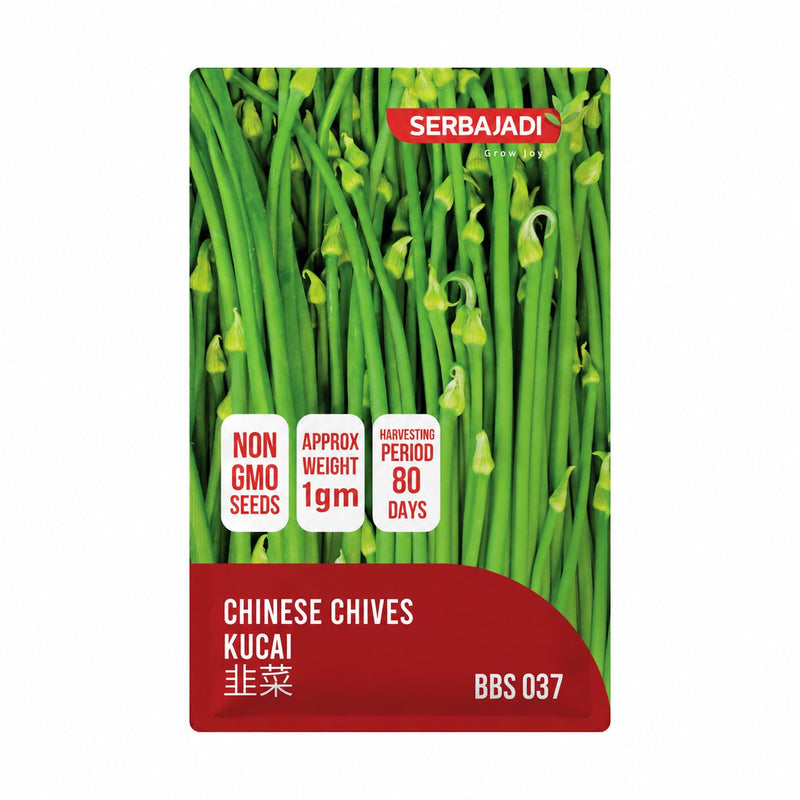 Serbajadi Chinese Chives Seeds VS037 seed packet on a white background.