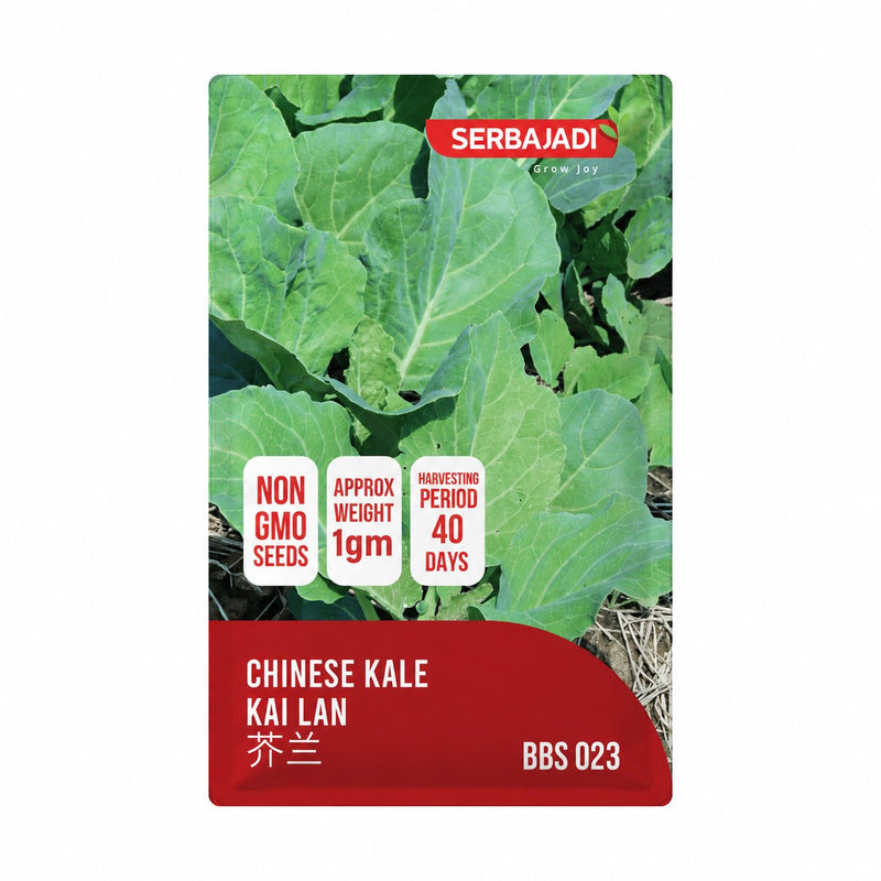 Serbajadi Chinese Kale Seeds VS023 seed packet on a white background.