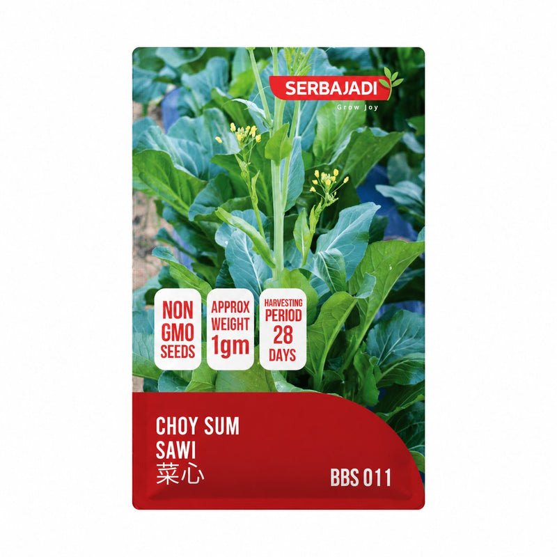 Serbajadi Choy Sam Seeds VS011 seed packet on a white background.