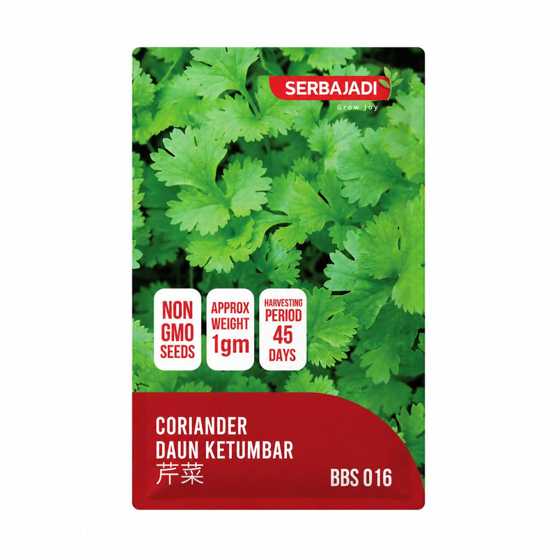 Serbajadi Coriander Seeds VS016 seed packet on a white background.