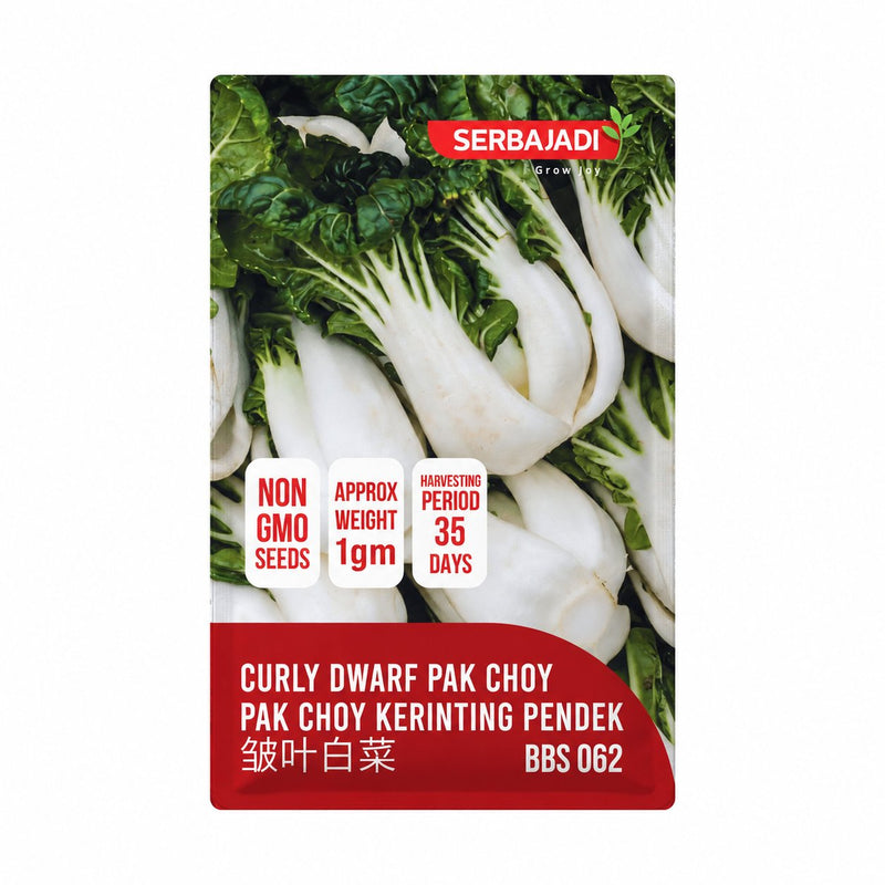 Serbajadi Curly Dwarf Pak Choy Seeds VS062 seed packet on a white background.