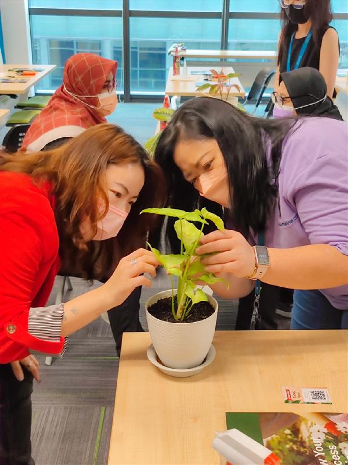Colleagues closely tending a leafy plant at a past workshop