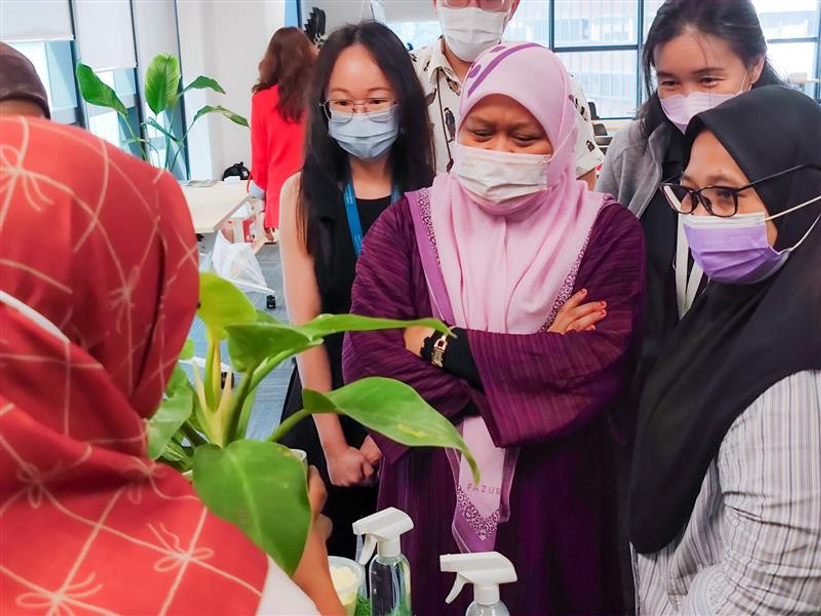 A group discussing plant care together during a workshop