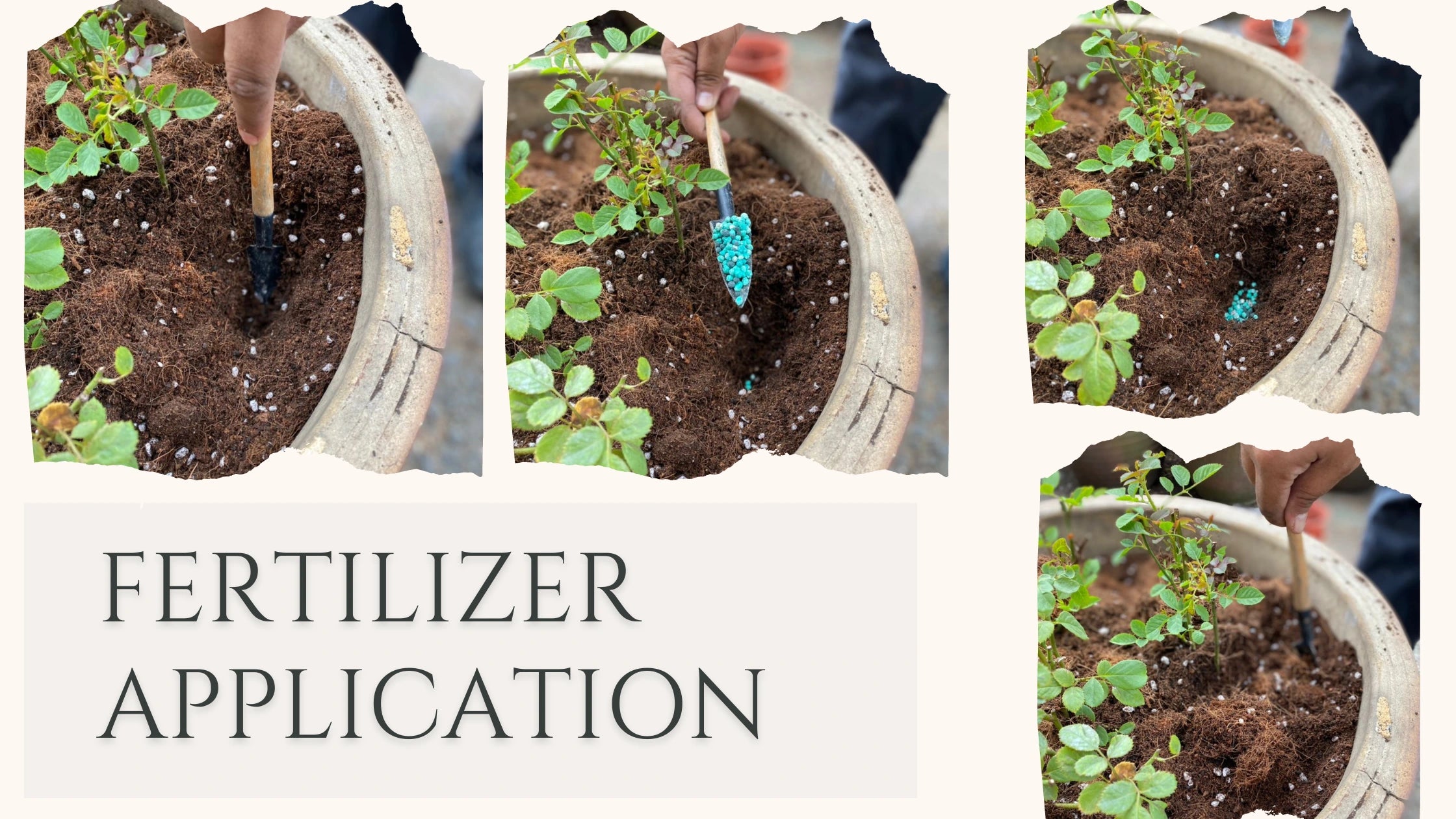 10 Ways to Use Fertiliser More Efficiently