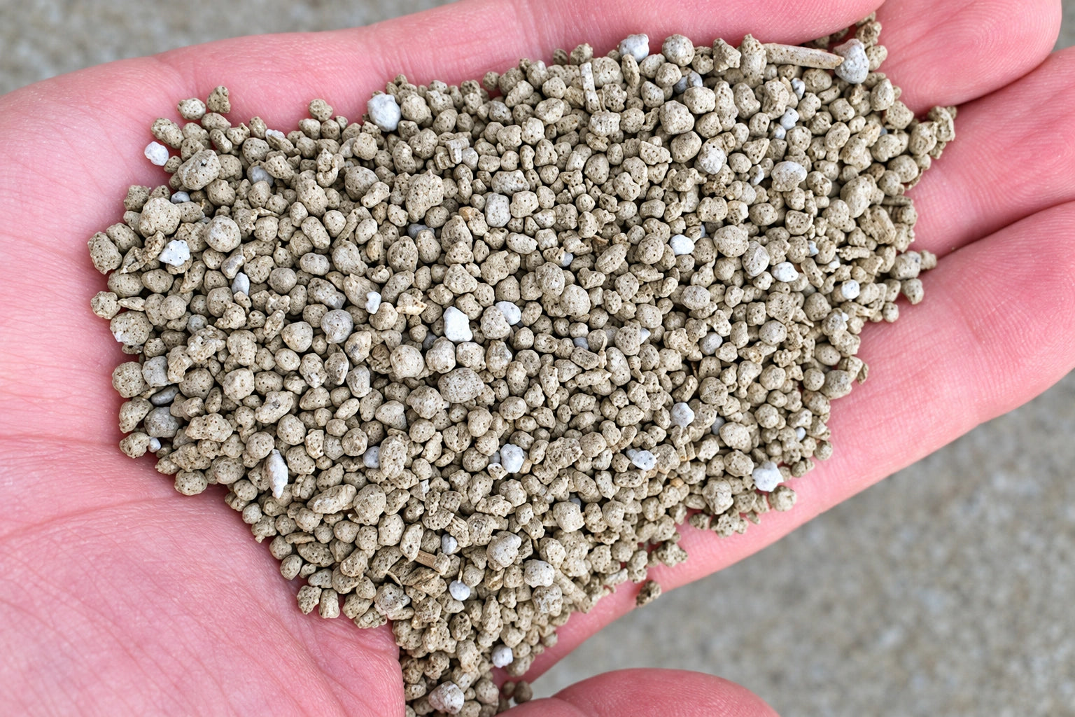 Granular fertilizer