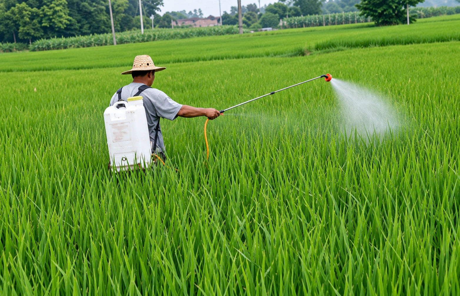 Foliar Fertilizer