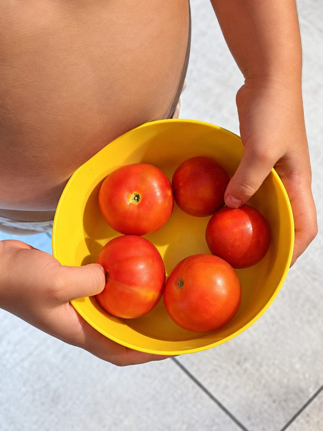 Child donating tomato plants to community garden